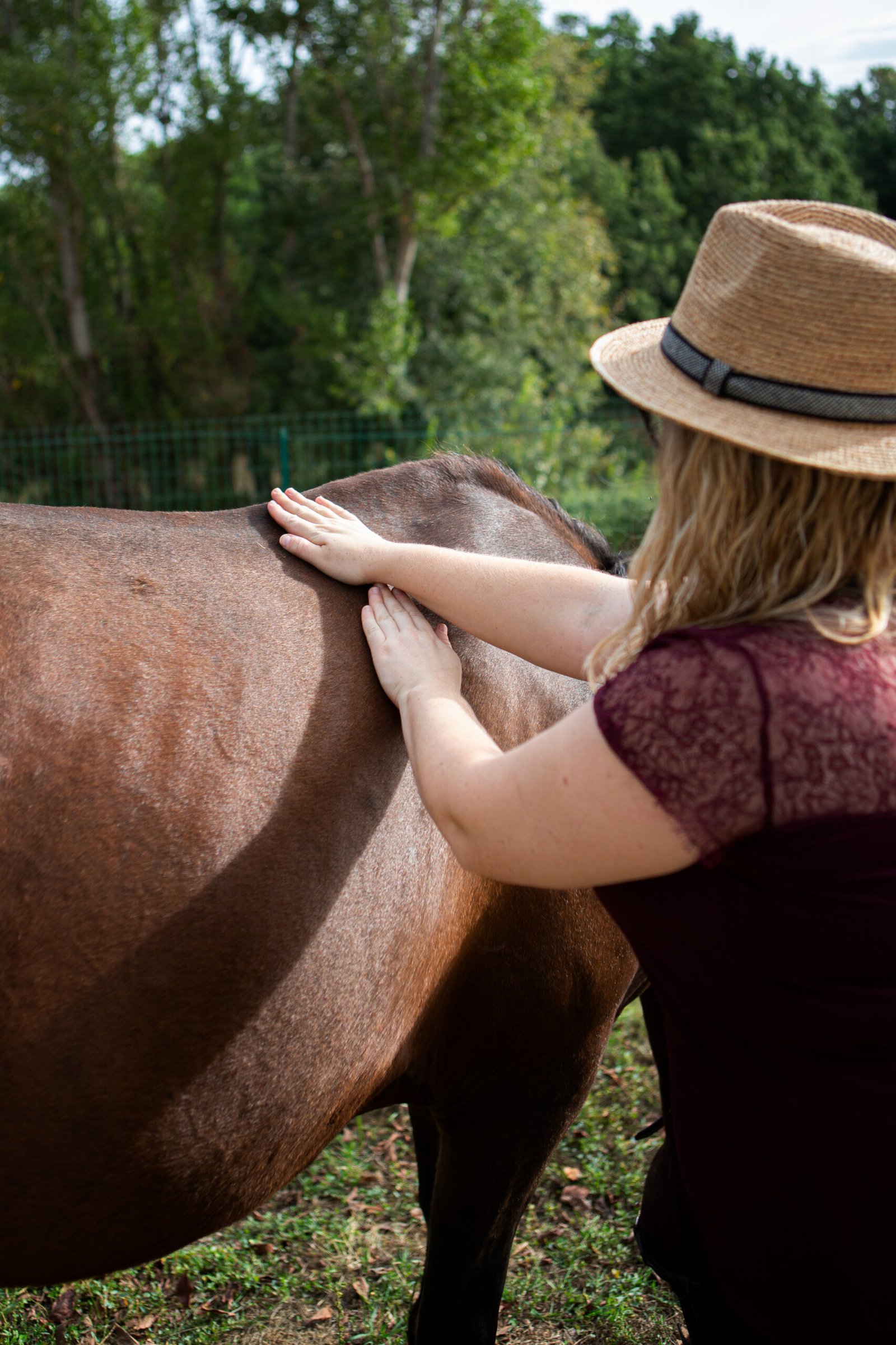 Massage équin pour favoriser le confort du cheval